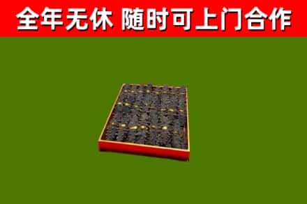 南汇回收海参